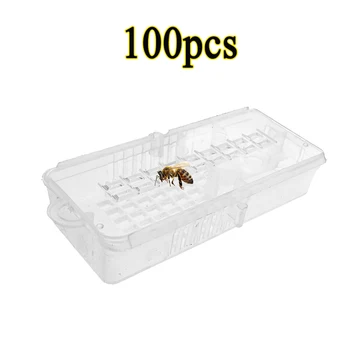 100ШТ Оптом Прозрачная Пчелиная матка Для транспортировки насекомых, Почтовая клетка, Ловушка, Батарейный отсек, Контейнер-переноска, Пчелиный инструмент