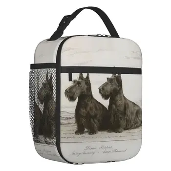 Винтажная изолированная сумка для ланча с собакой Шотландского терьера для работы, школы, Скотти, любителя домашних животных, Герметичный кулер, термальный ланч-бокс для женщин и детей
